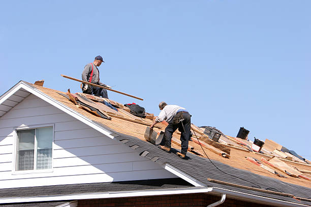 Best Roof Insulation Installation  in Lisle, IL